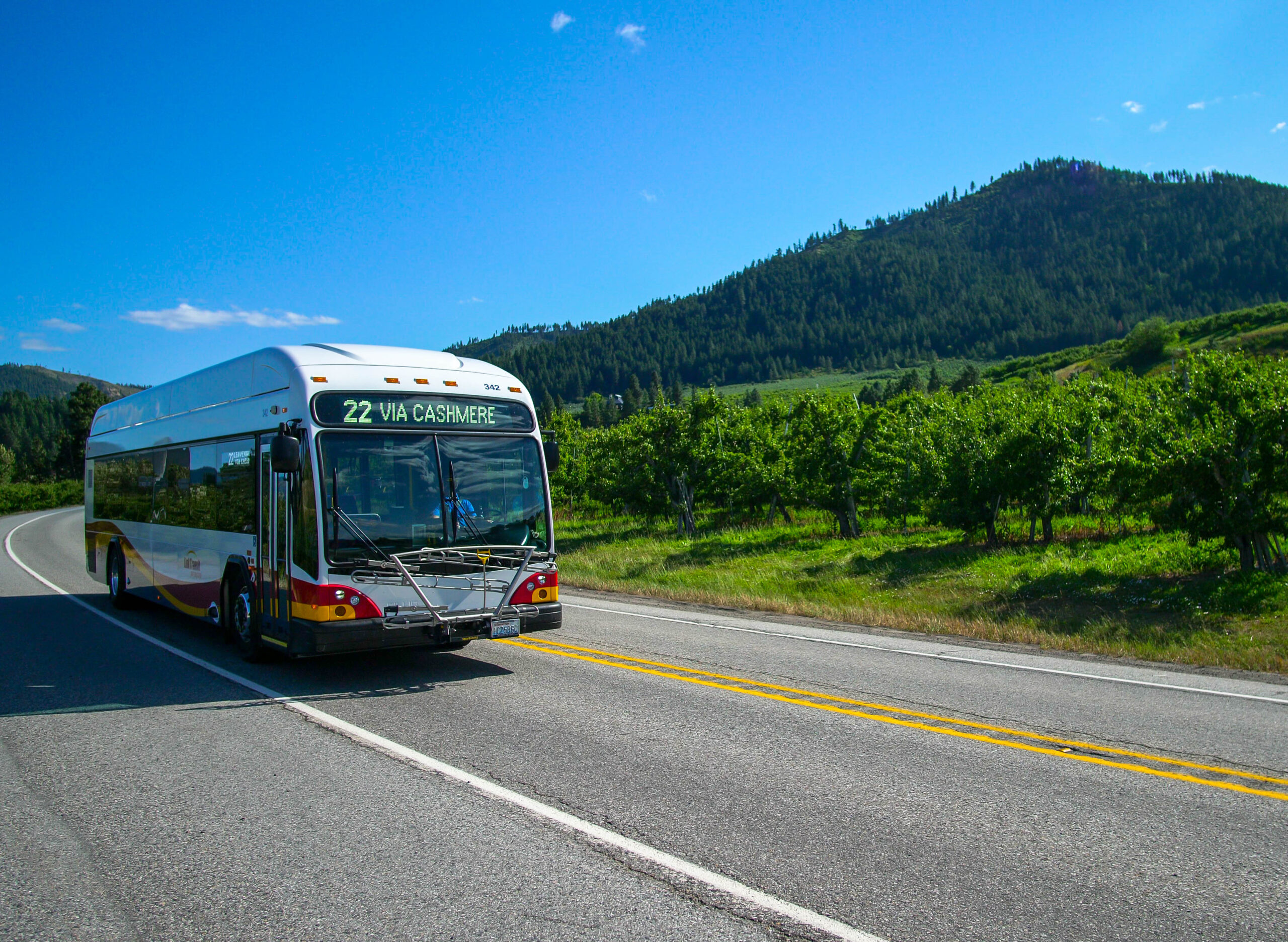 A bus driving down the road